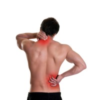 Premier Plus Physical Therapy Logo