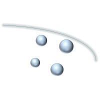 Great Leap Group (Pty) Ltd Logo