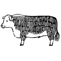 Aage Damgaard ApS Logo