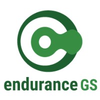 endurance GS Logo