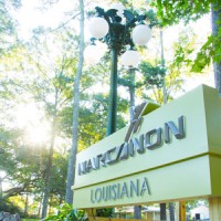 Narconon Louisiana New Life Retreat Logo
