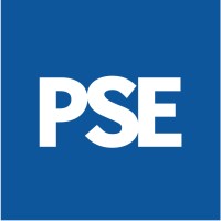 Public Sector Executive Logo