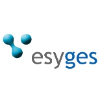 Estrategia y Gestión de Negocios Logo