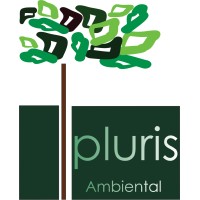 Pluris Ambiental Consultoria e Serviços Ltda. Logo