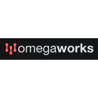 Omegaworks IT Solutions Logo