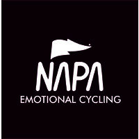 NAPA Logo