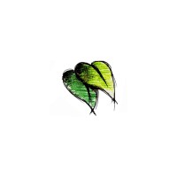 Arrosage et Paysage SA Logo