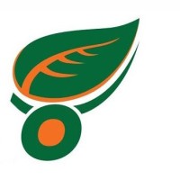 Adveho Limited Logo