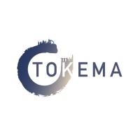 Tokema Consulting Logo