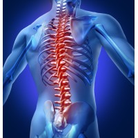 Excel Rehabilitation Services, LLC Logo