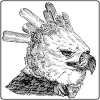 Henderson & Co. Logo