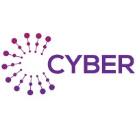 Cyber Strategies Ltd Logo