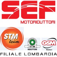 SEF Motoriduttori [STM GSM Group] Logo