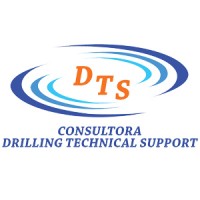 Consultora DTS Ltda. Logo
