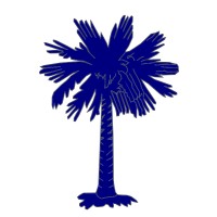 Palmetto Global Ventures Logo