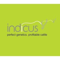 Indicus East Africa Limited Logo