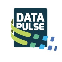 DataPulse.Global Logo