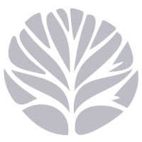 scoopsweb Logo