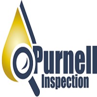 Purnell & SS Industrial Surveillance Inc. Logo