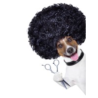 Wags my Tail Pet Grooming Logo