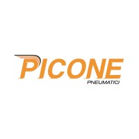Piconepneumatici.com Logo