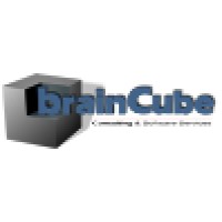 BrainCube Consulting & Software Services Logo