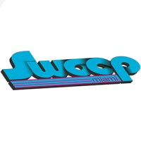 The Swoop Ride Logo