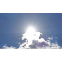 Rose Silver Software LLC Logo