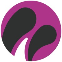 Grupo WISE Solutions Logo
