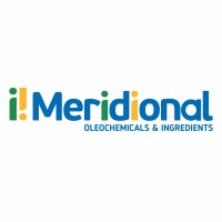Meridional TCS Logo