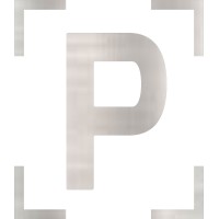 Platinum Consultoria Logo