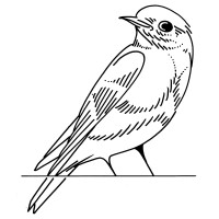 Bluebirds Amsterdam Logo