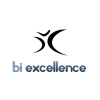 BI Excellence Logo