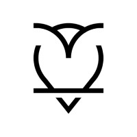 Raging Owl Logo