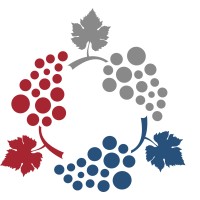 GlobalWineTrade Logo