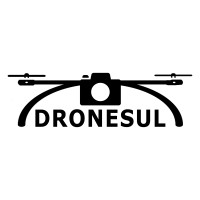 Dronesul Logo