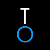 Talent Options ~ Diversity Staffing & Recruiting Firm Logo