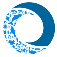 Ecosurf Logo