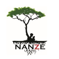 NANZE Childrens Services Inc Logo