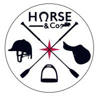 Horse and Co Logo