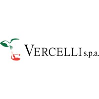 Gruppo Vercelli Logo