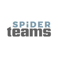 Spider Teams, LLC Logo
