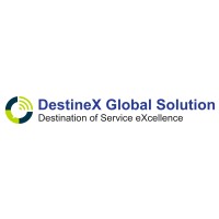 DestineX Global Solution Logo