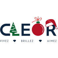 CLEOR Logo