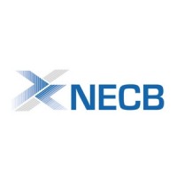 NECB sal (SARADAR Group) Logo