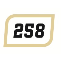 258 Group Logo