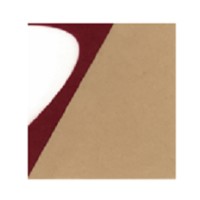 Paul Verschueren BV Logo