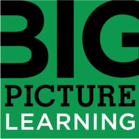 Big Picture India Logo