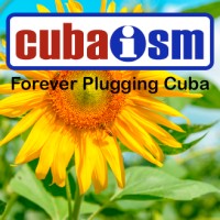Cubaism Ltd Logo