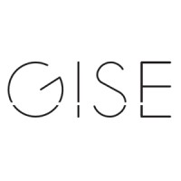 Gruppo Italiano Service Srl Logo